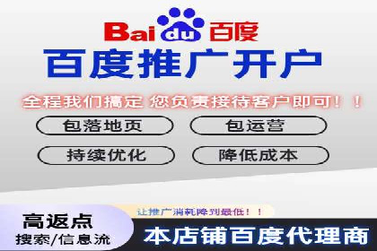 经典案例：专业SEM托管如何实现ROI最大化